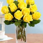 5 Sai Lầm Phổ Biến Khi Trồng Hoa Hồng Leo và Cách Khắc Phục