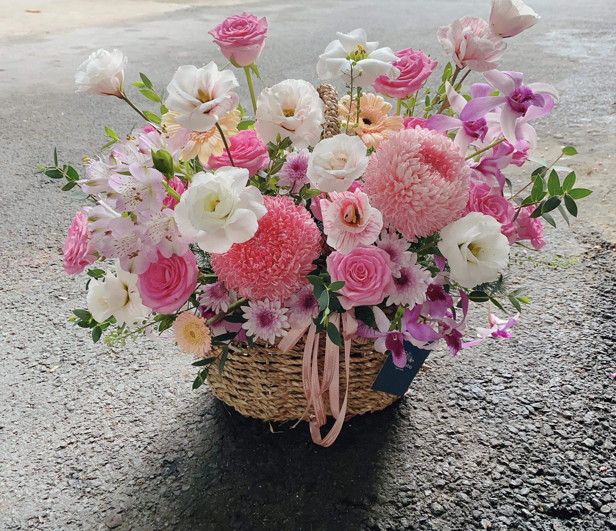 Hoa sen đá – Bền bỉ và kiên cường