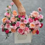 Tulip Trắng Ngọc Ngà