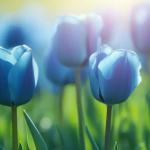 Sắc Màu Tuổi Trẻ