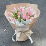 Thanh Lịch Công Sở