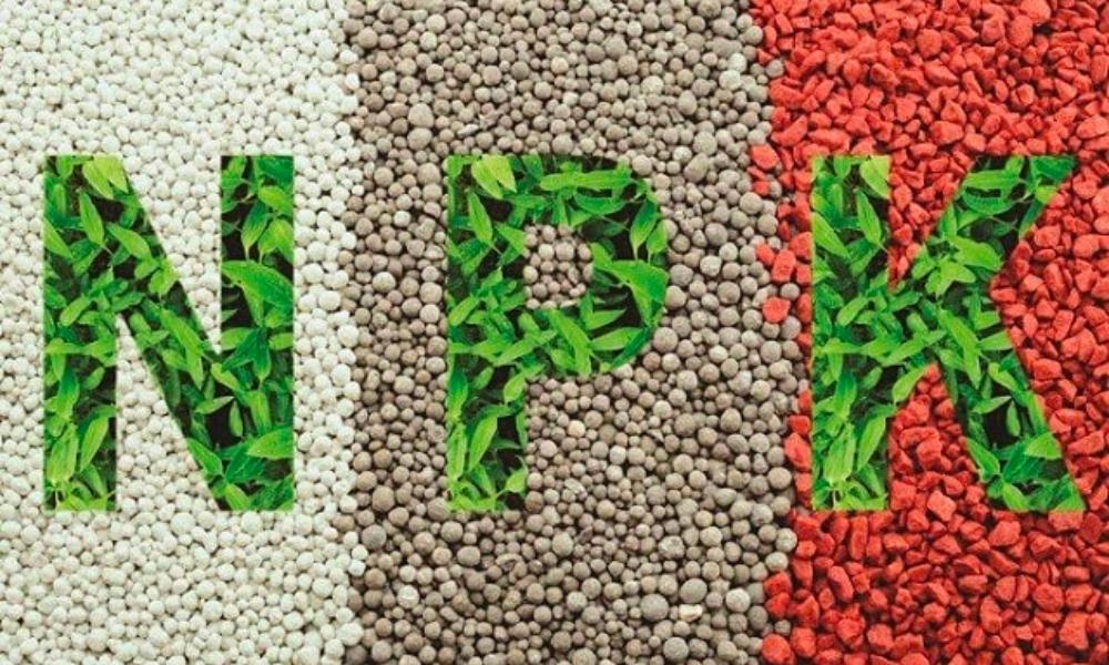 cac-loai-phan-bon-thuong-dung-hien-nay-1