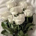 Lẵng Tulip Chúc Mừng