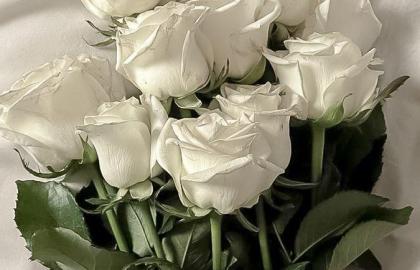 Hộp Quà Hoa Sáp Thơm: Giải Pháp Lưu Giữ Kỷ Niệm Vĩnh Cửu (Và 3 Cách Tự Làm)