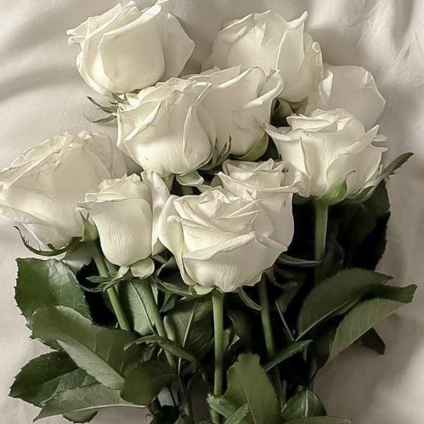 Lẵng Tulip Chúc Mừng