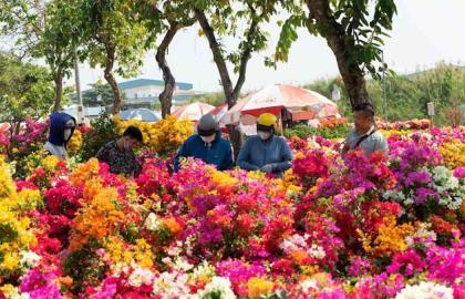 Top 3 Chợ Hoa Online Uy Tín Nhất TP.HCM Dành Cho Người Bận Rộn