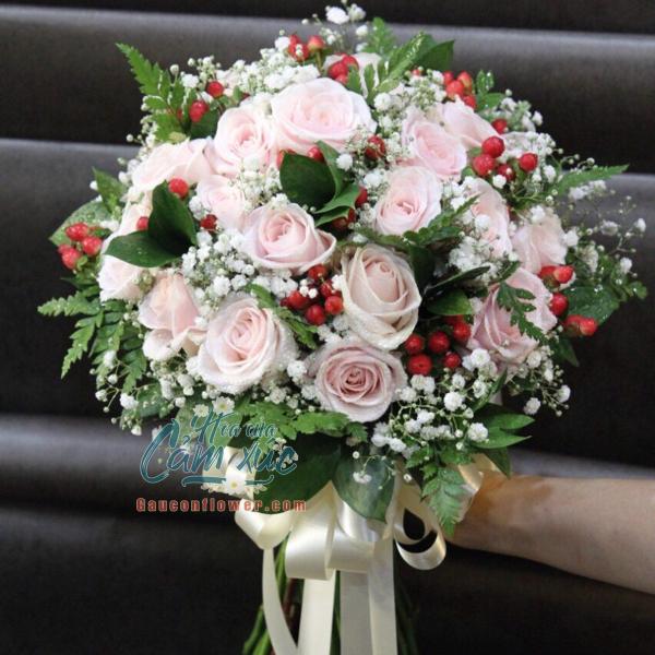 Tulip Trắng Ngọc Ngà