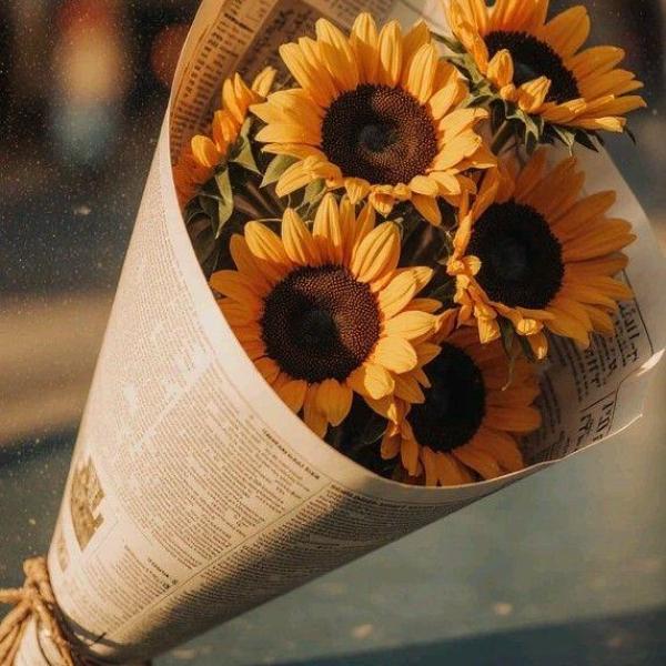 Yên Bình Tối Muộn