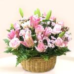 Thanh Lịch Công Sở