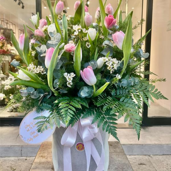 Tulip Trắng Ngọc Ngà