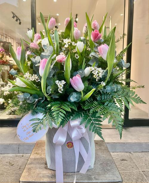 Tulip Trắng Ngọc Ngà