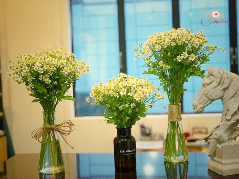 hoa-de-ban-lam-viec-1-768x576-1