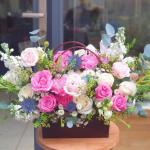 Khởi Đầu May Mắn