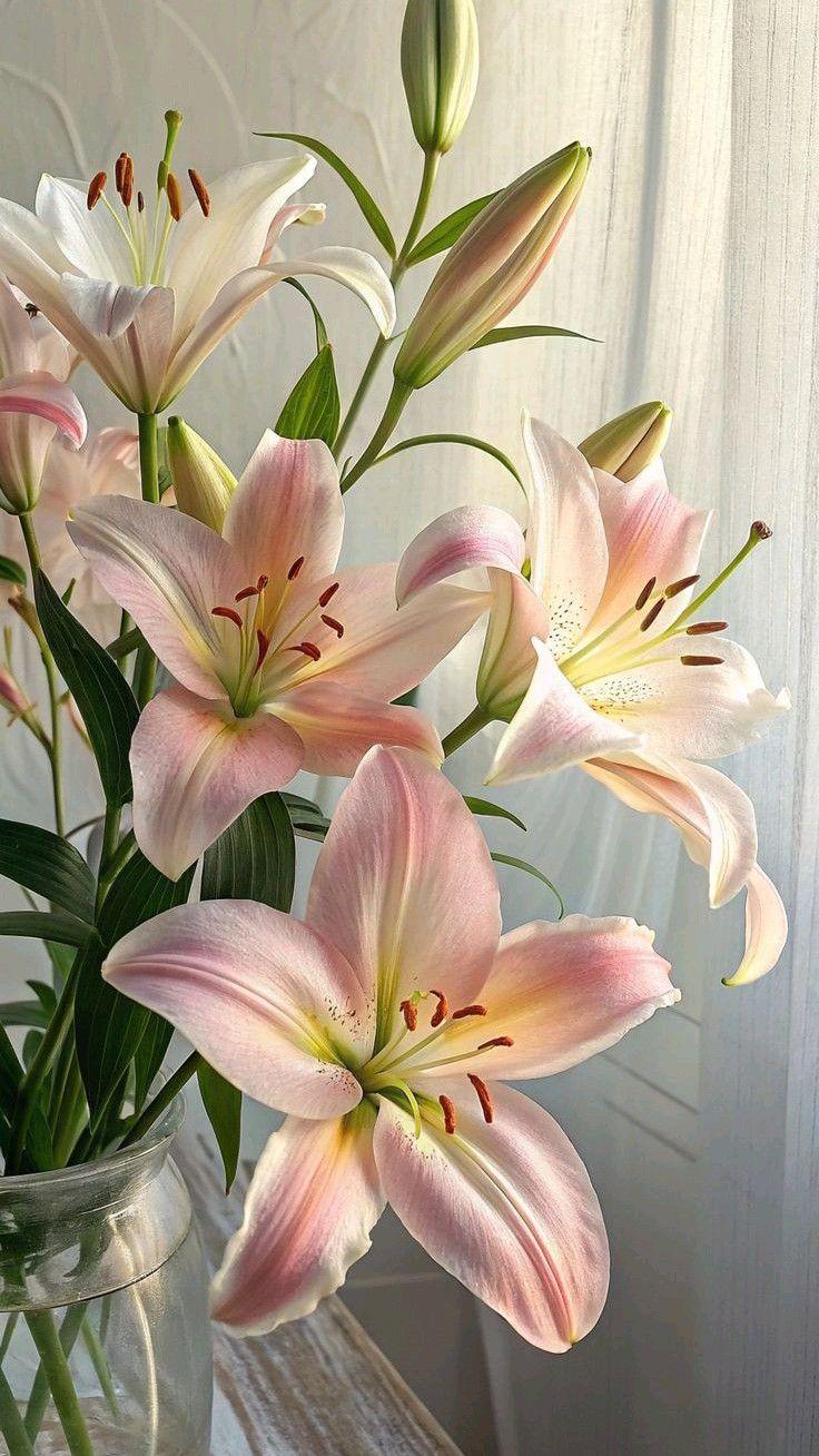 bb780a393b7b2cc12ad8cdbcca2dc6a4