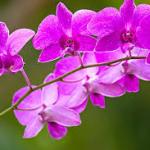 Gửi Đến Người Thương