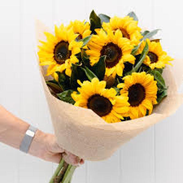 Bó Hướng Dương Rực Rỡ