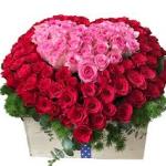 Dịu Êm Ngày Cưới