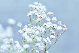 images?q=tbn:ANd9GcT5cTkPGKNrMXl7kMQtulKRvJfY0-n6D