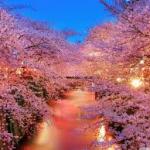 Gửi Đến Người Thương