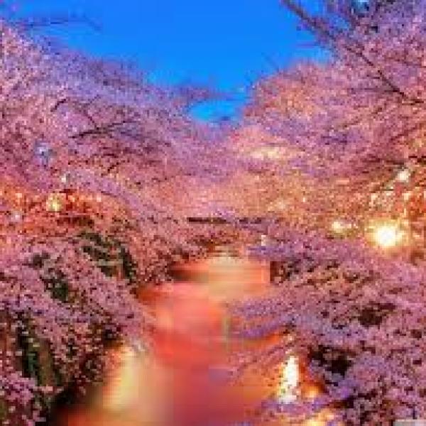 Gửi Đến Người Thương