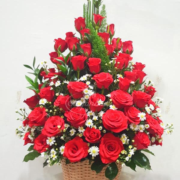 Bó Tulip Ngày Hẹn Hò