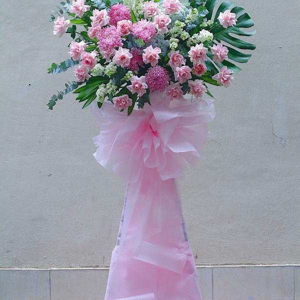 Khởi Đầu May Mắn