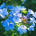 Sắc Màu Tuổi Trẻ